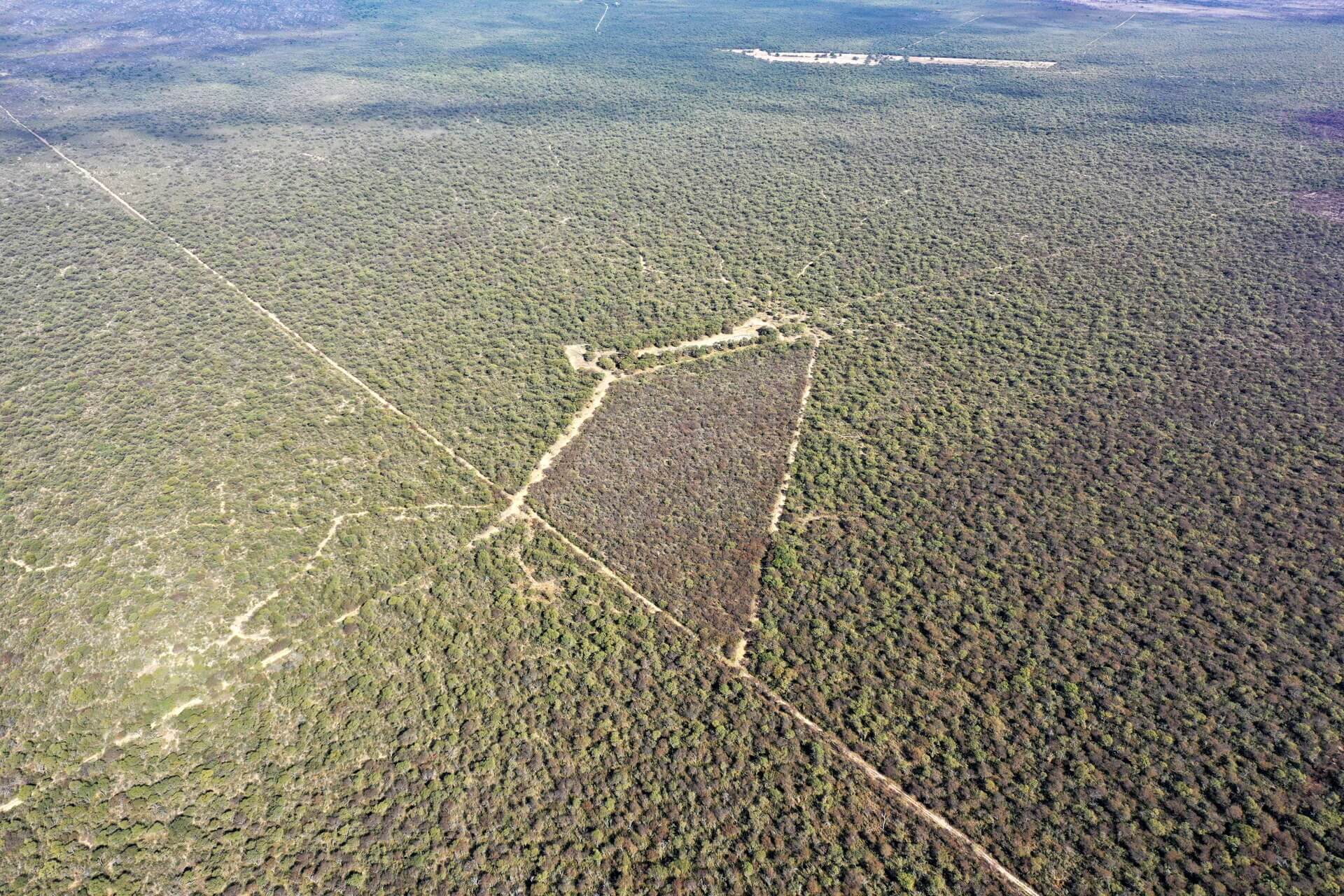 Lafinur - Image 2