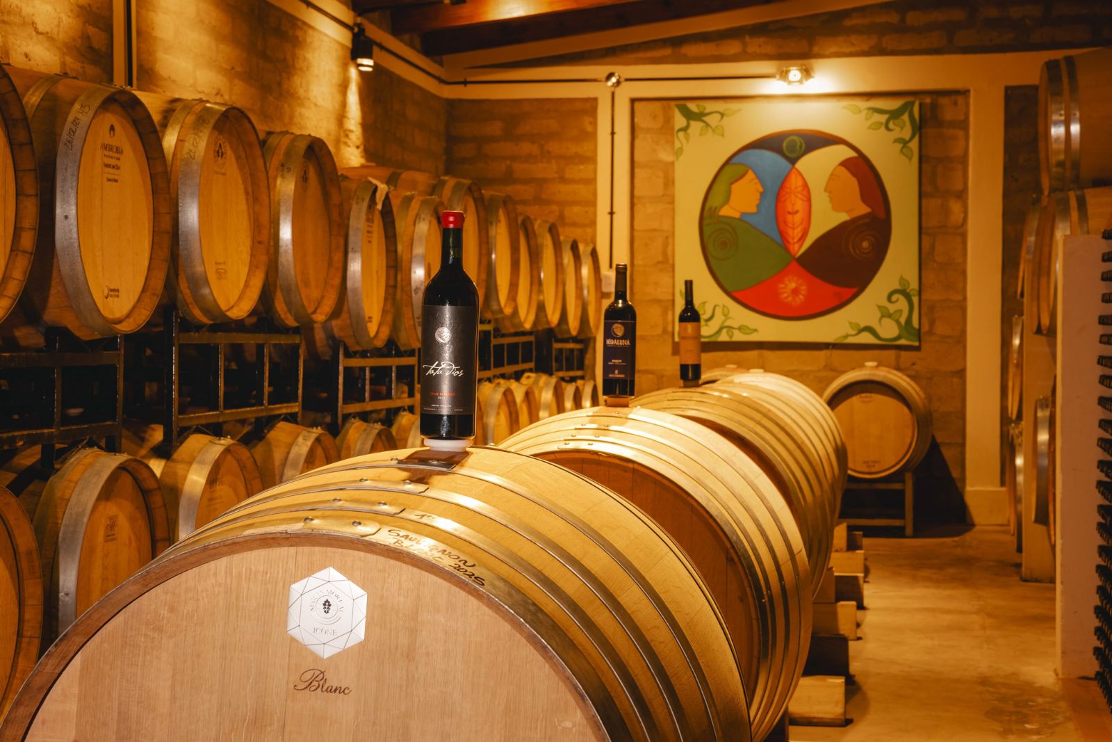 Bodega Miraluna - Cachi - Image 4