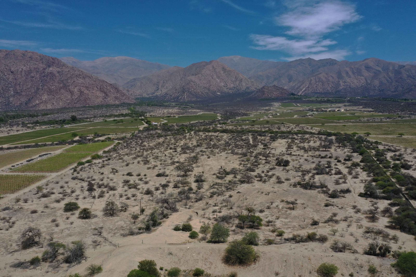 Cafayate - Image 3