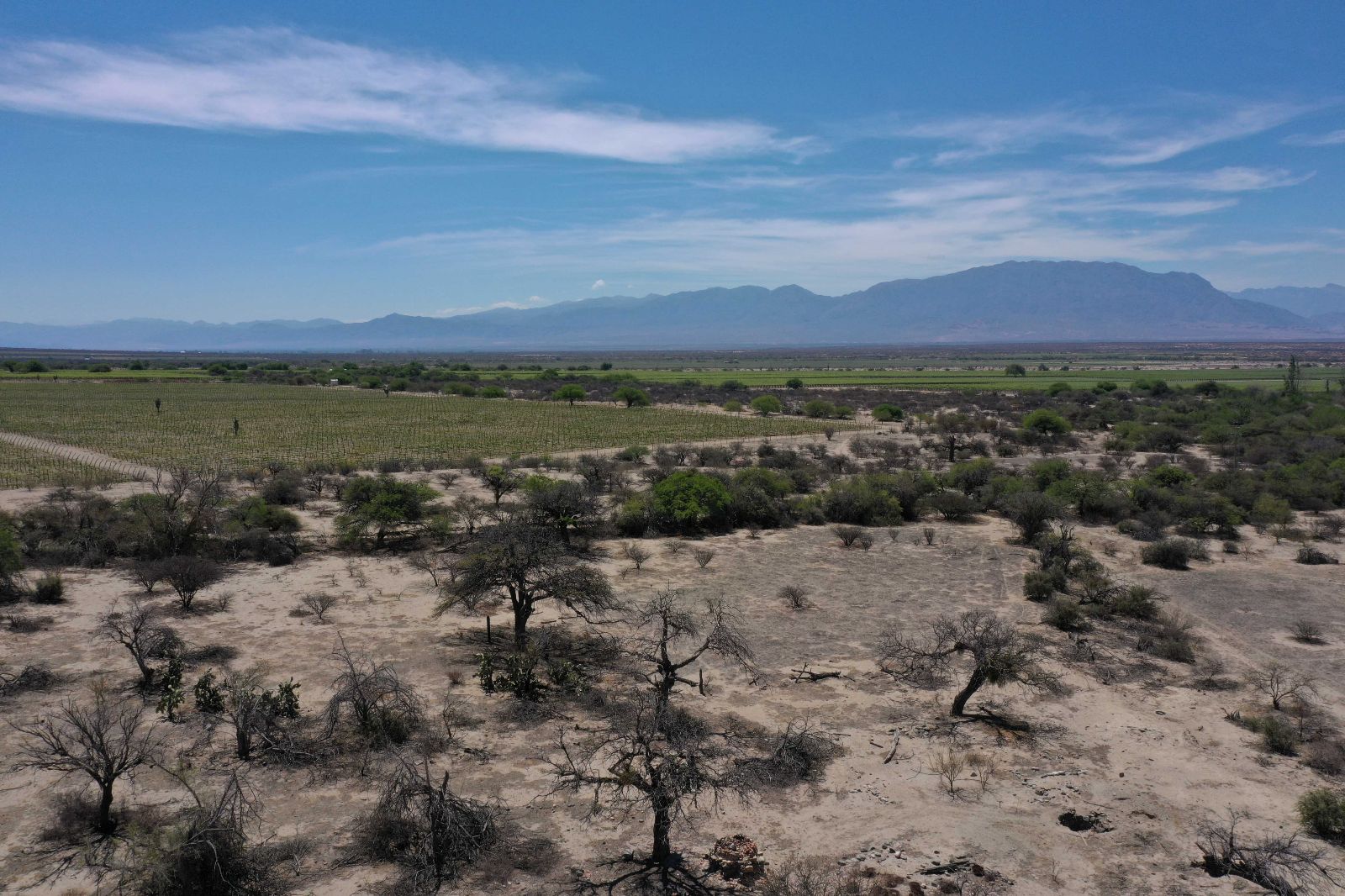 Cafayate - Image 1