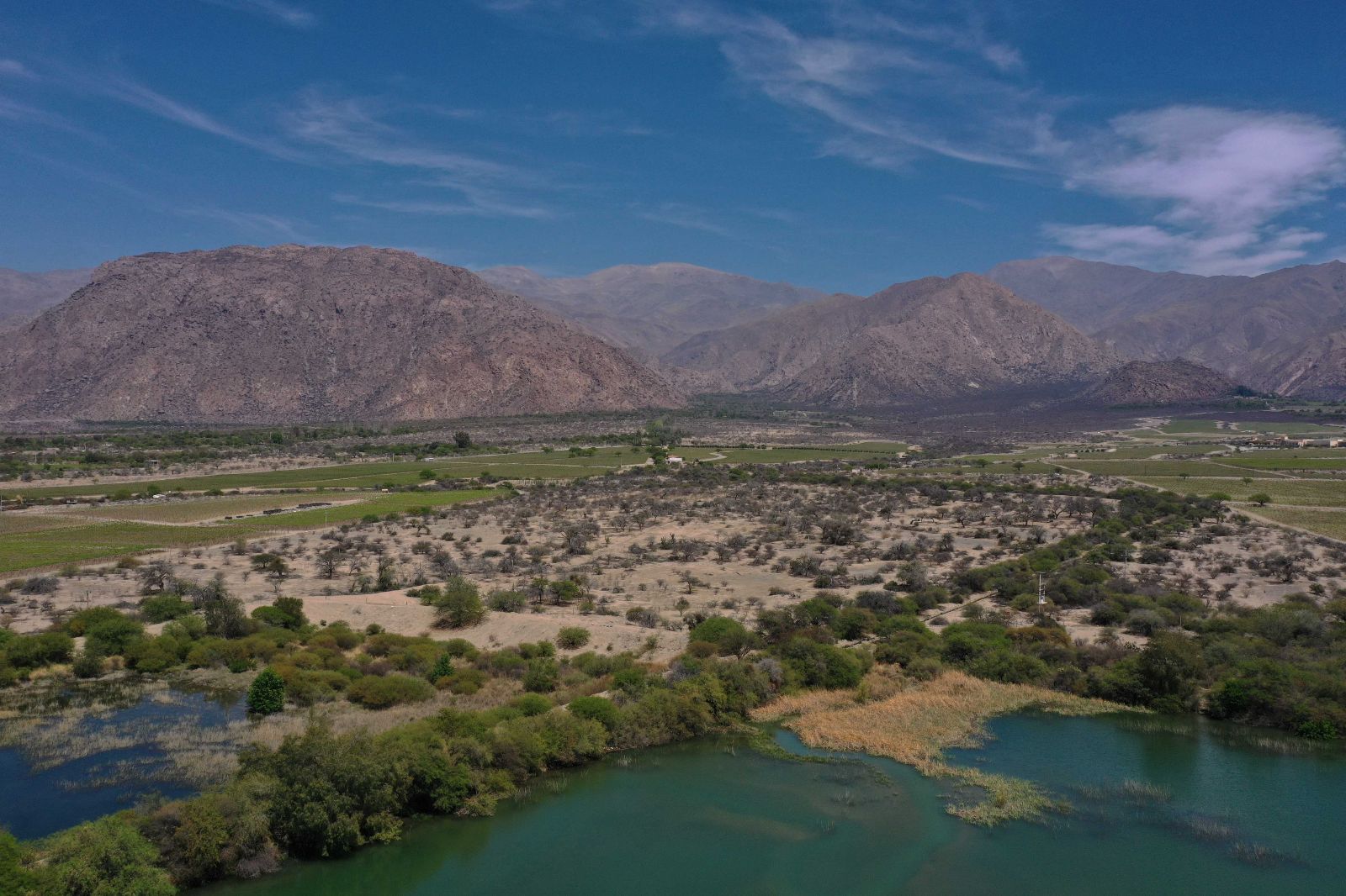 Cafayate - Image 4