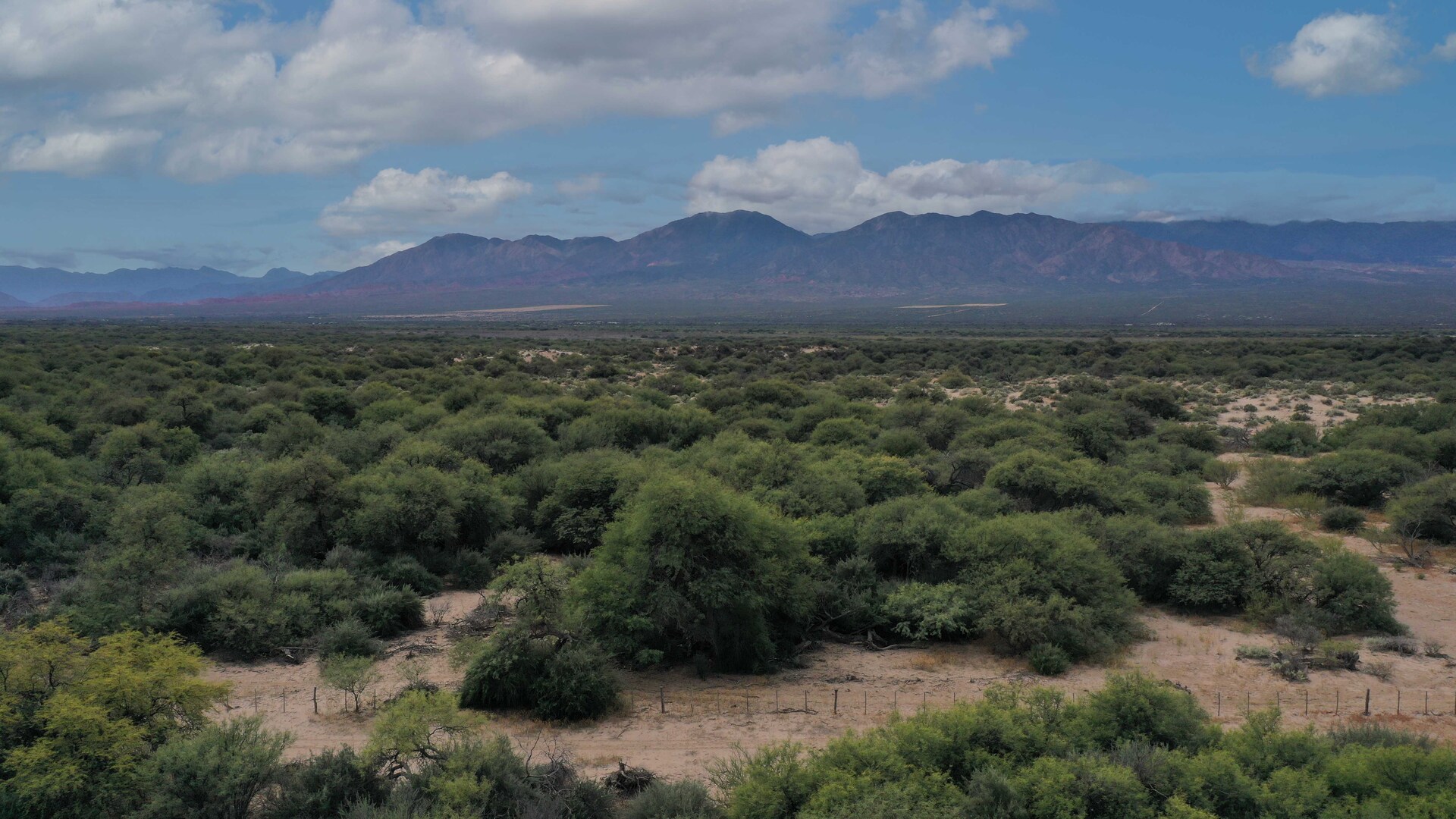 Cafayate - Image 4