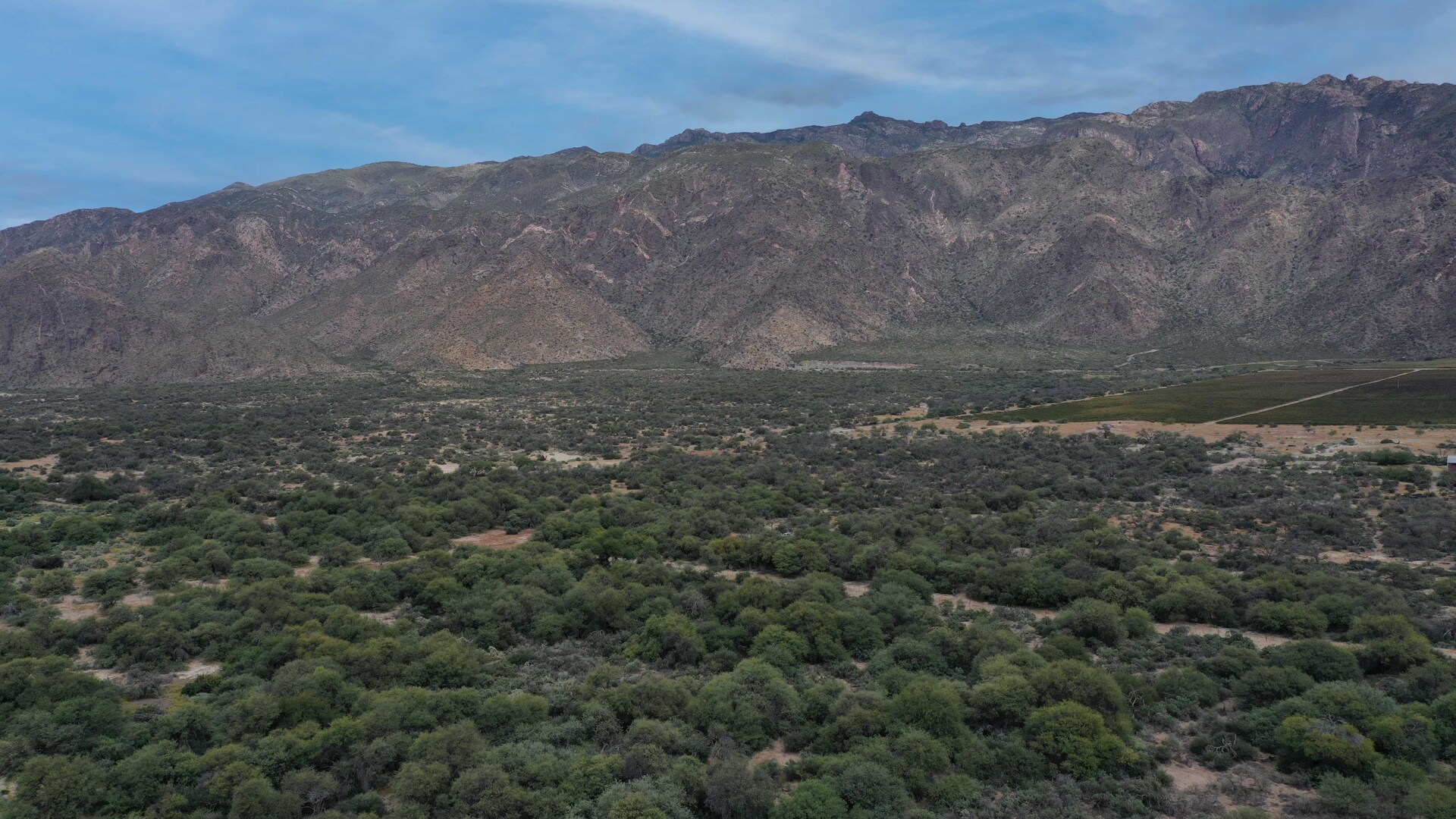 Cafayate - Image 3