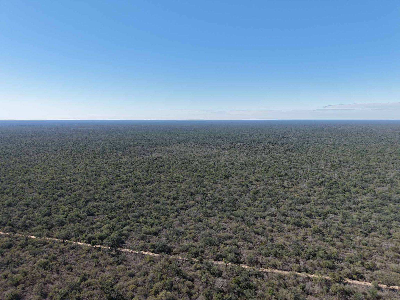 Cuchuy - Image 3