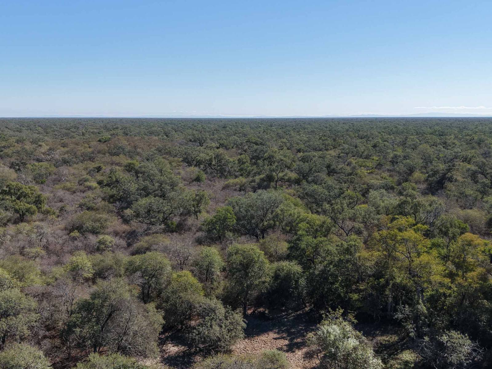 Cuchuy - Image 1