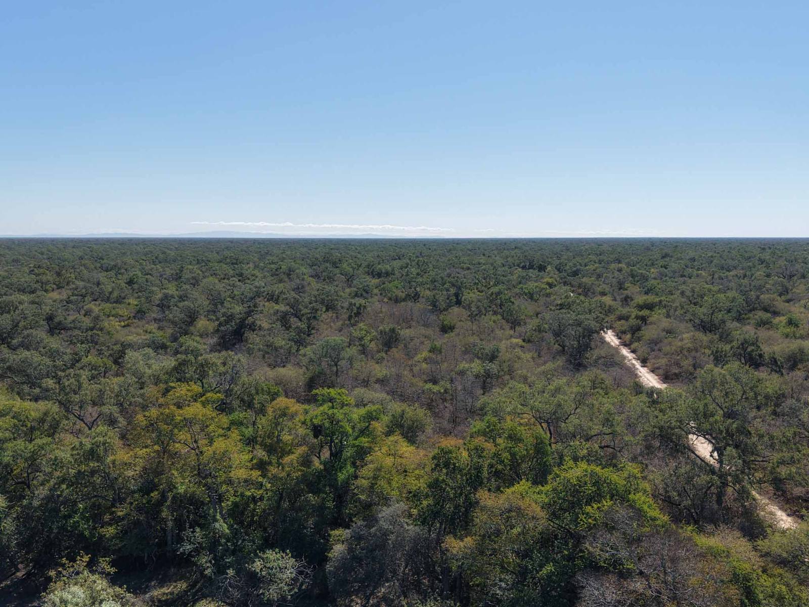 Cuchuy - Image 4