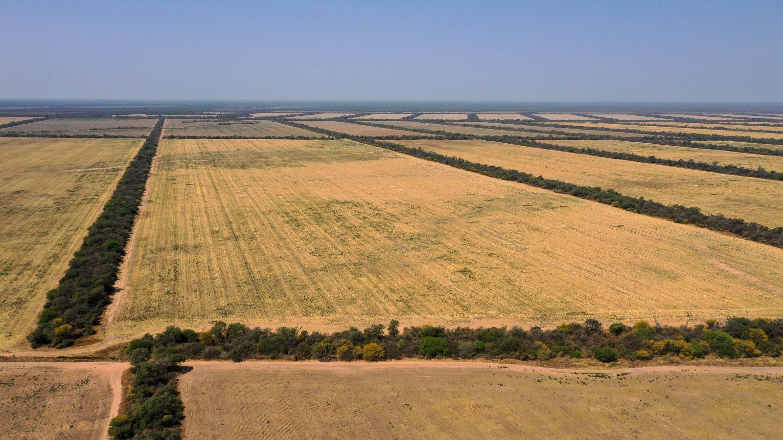 Senda Hachada - Image 3