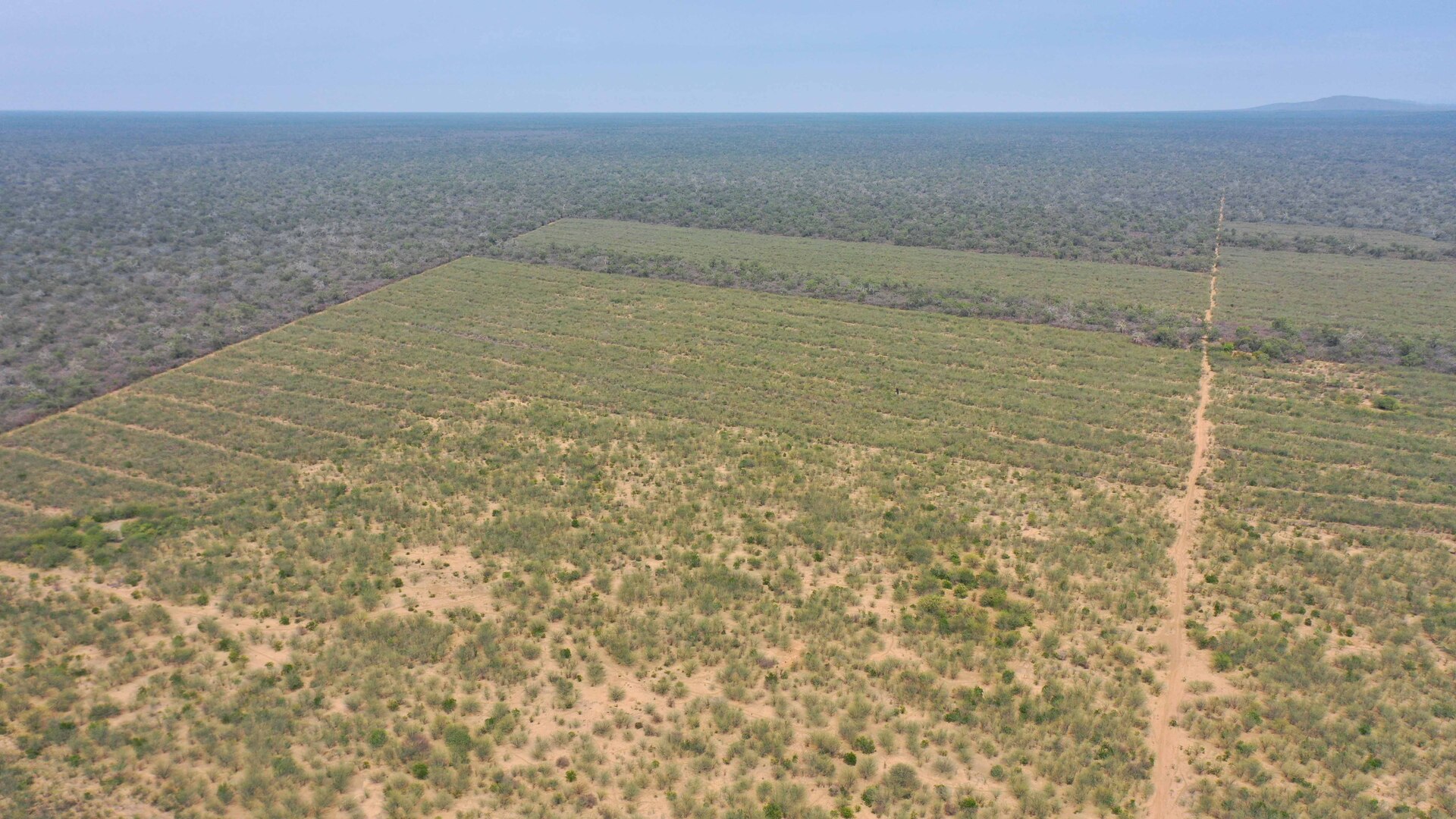 Las Bateas - Image 3