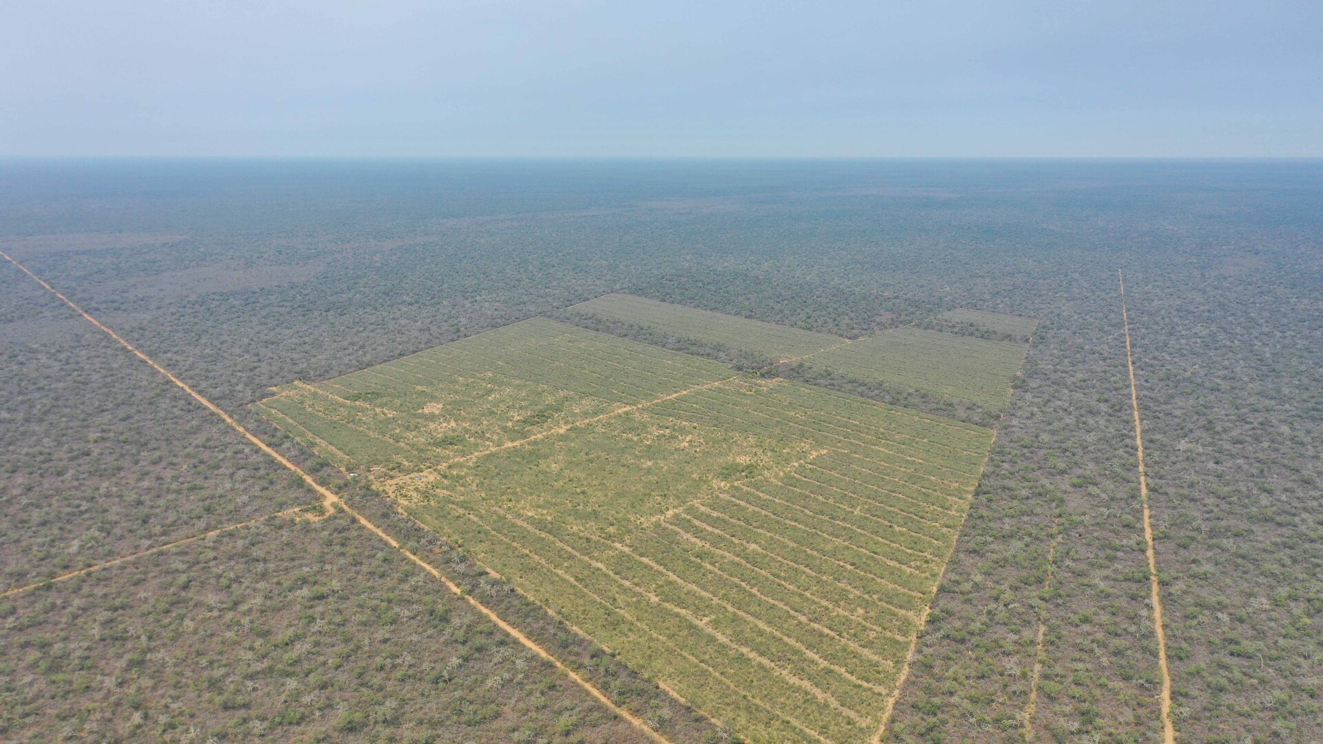 Las Bateas - Image 1