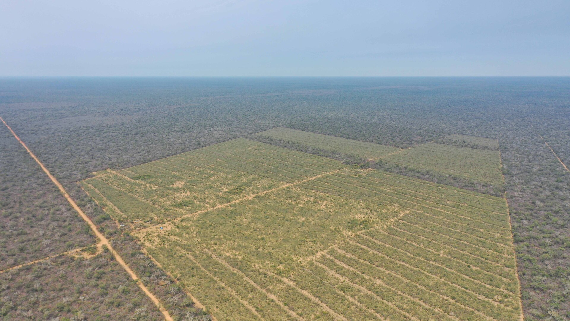 Las Bateas - Image 1