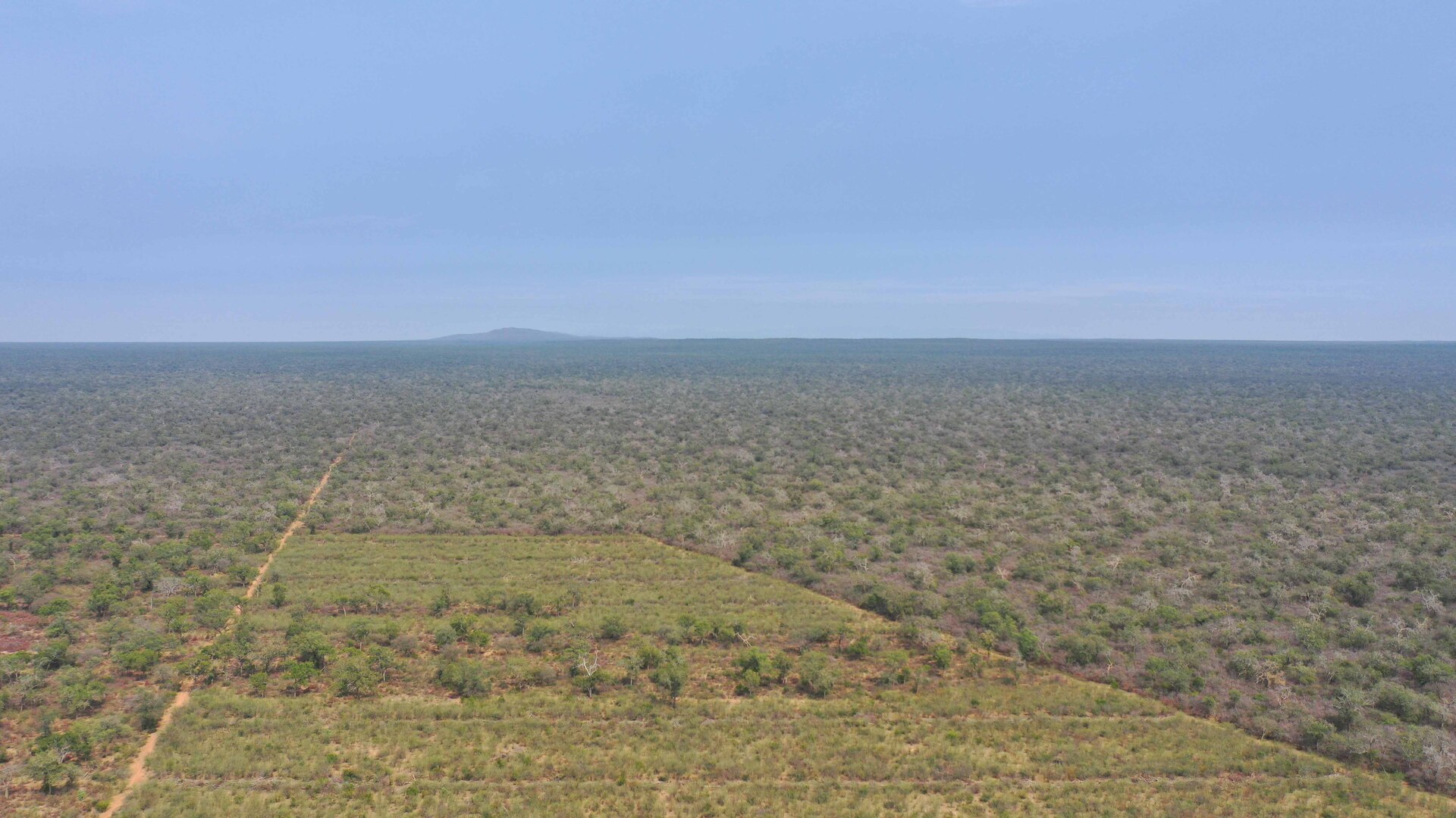 Las Bateas - Image 2