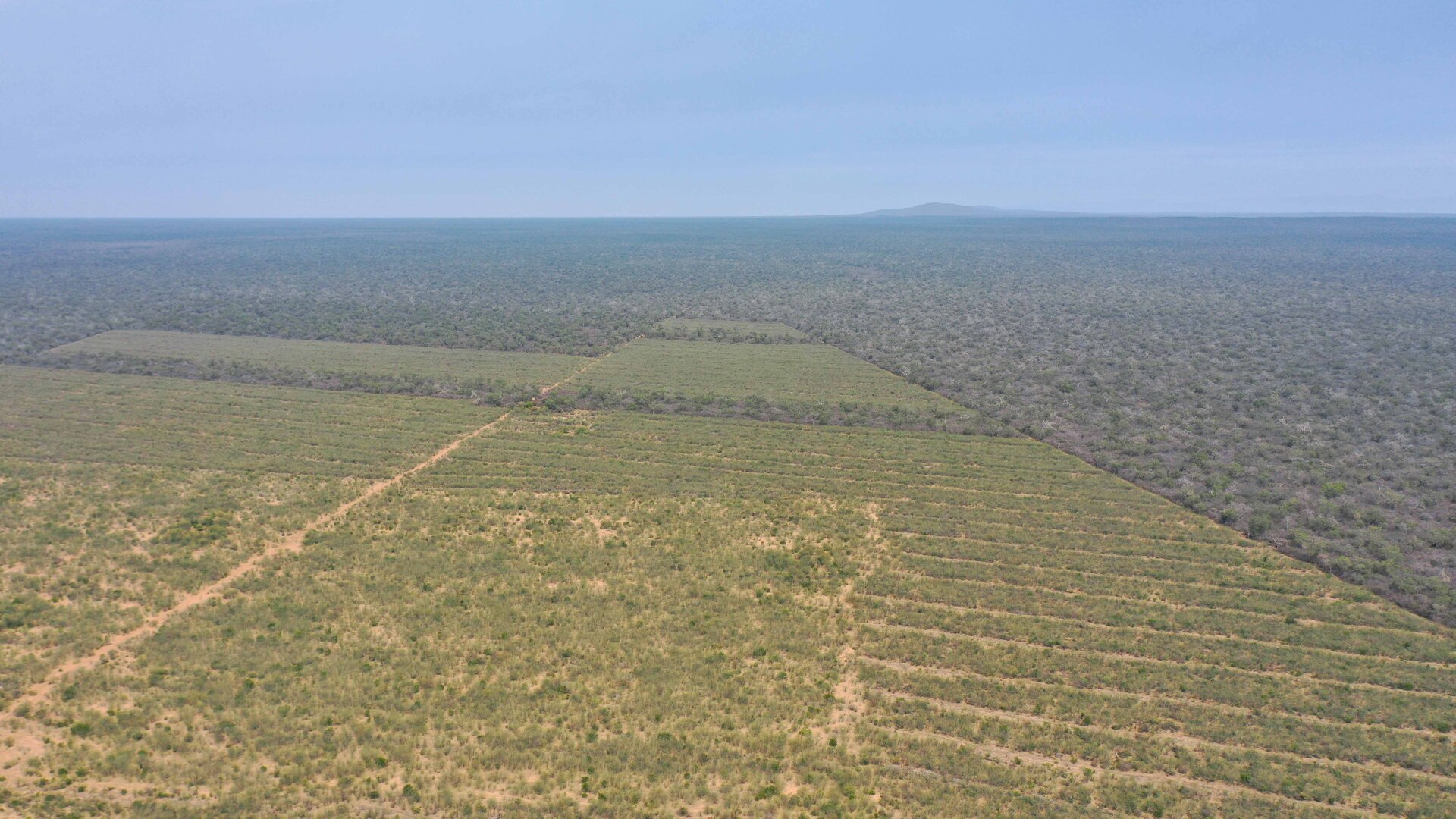 Las Bateas - Image 1
