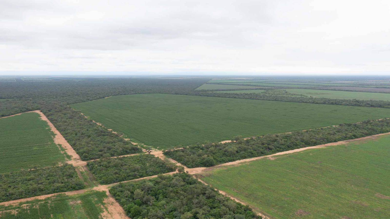 Las Maravillas - Image 2