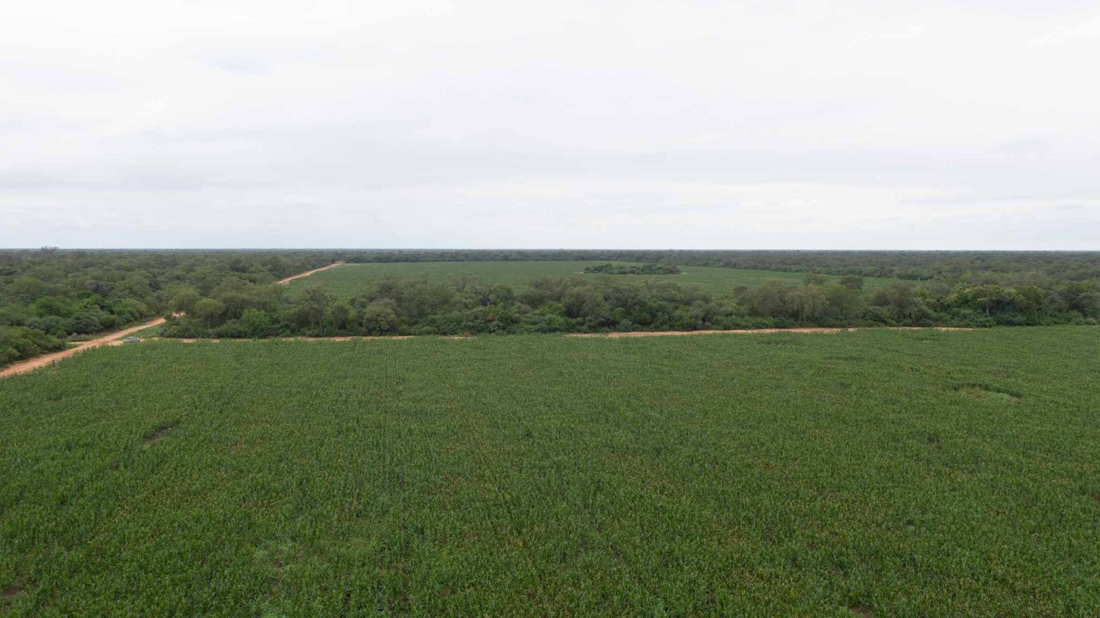 Las Maravillas - Image 1