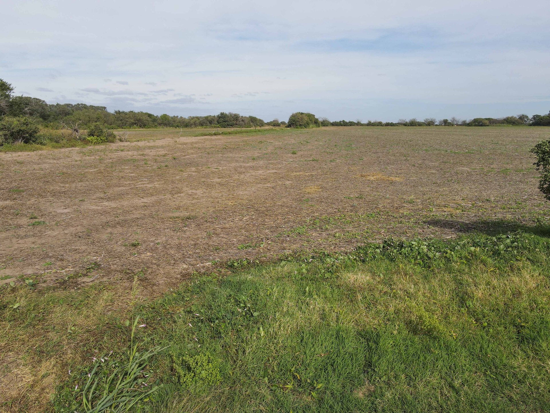 Lozada - Image 4