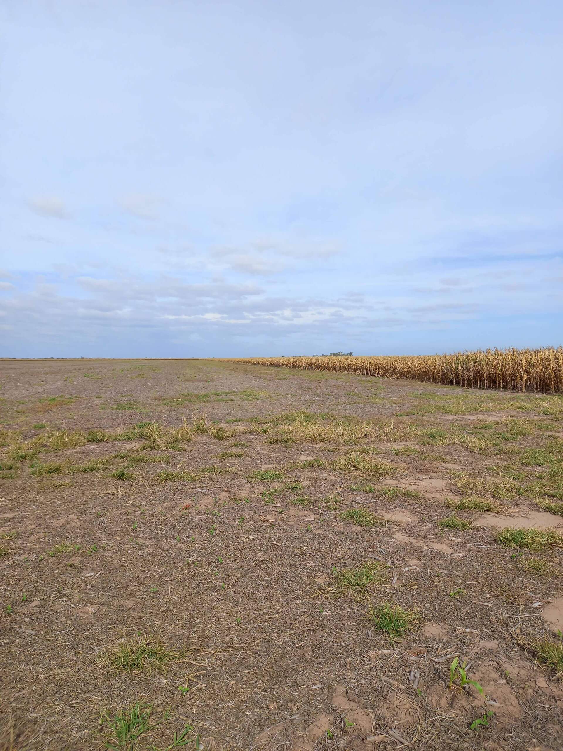 Lozada - Image 3