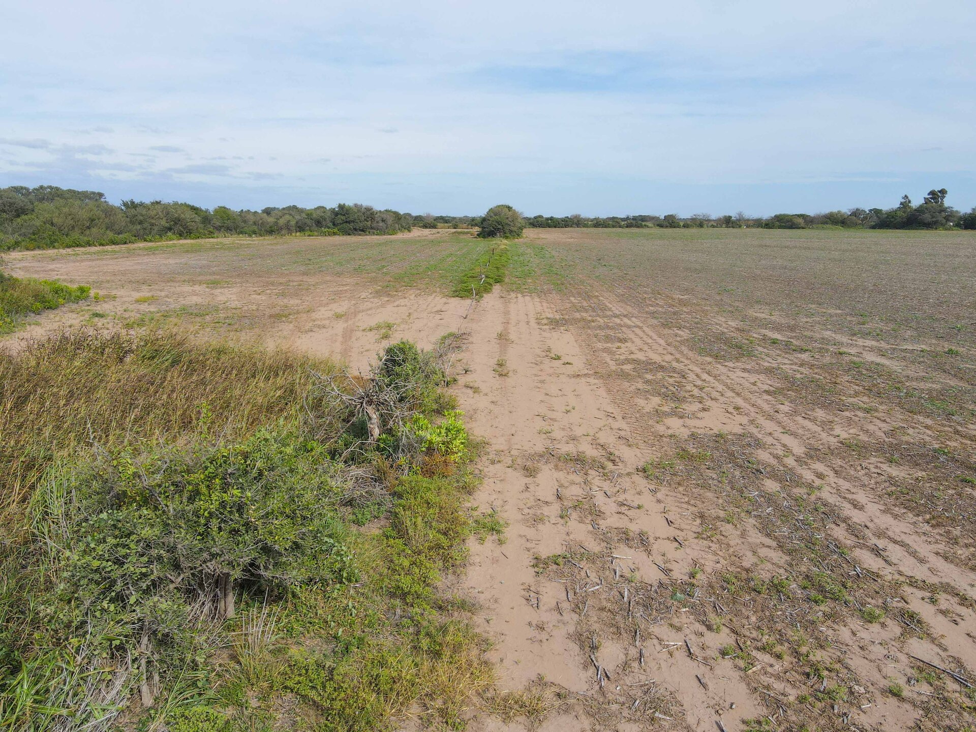 Lozada - Image 1