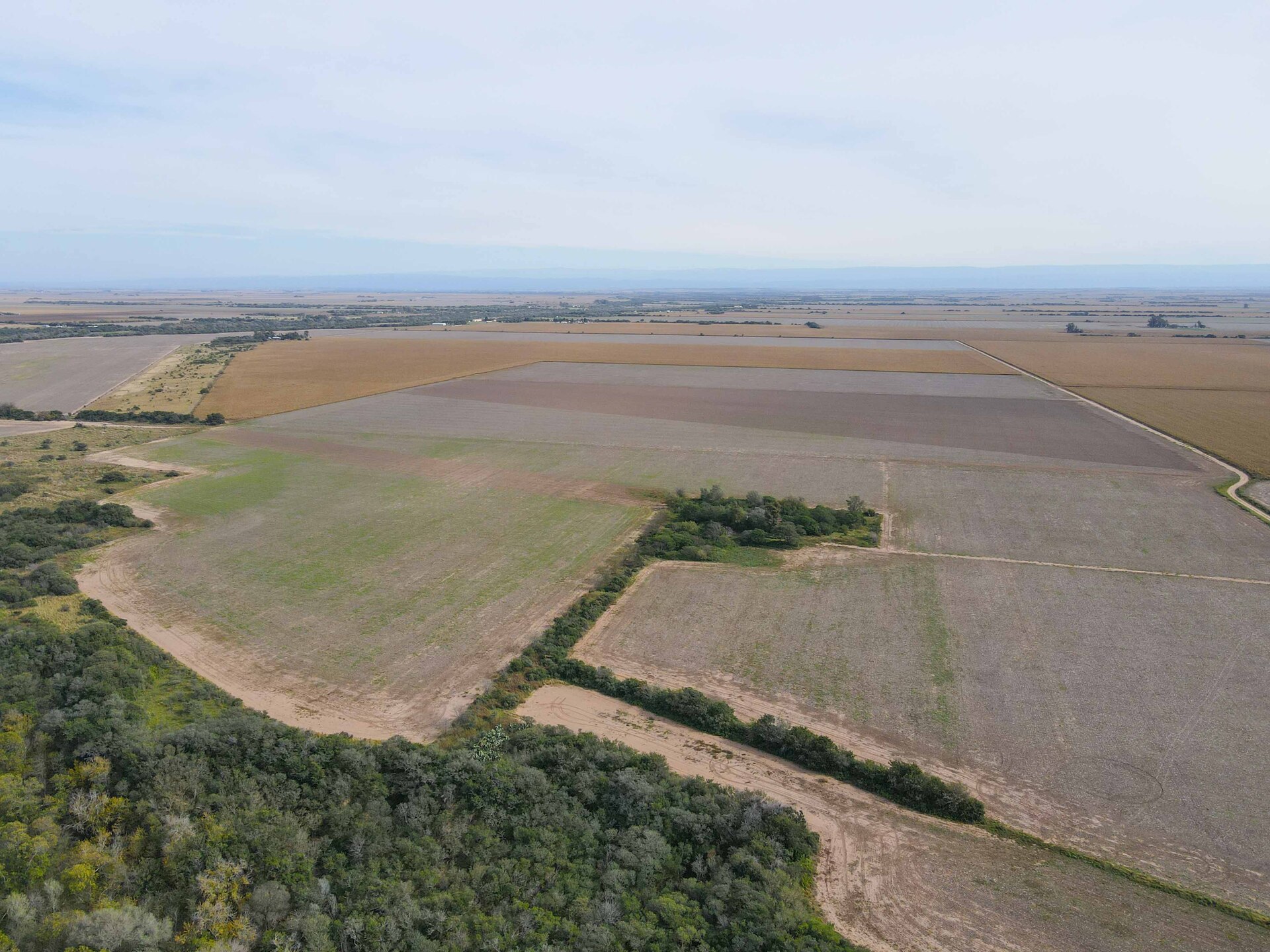 Lozada - Image 1