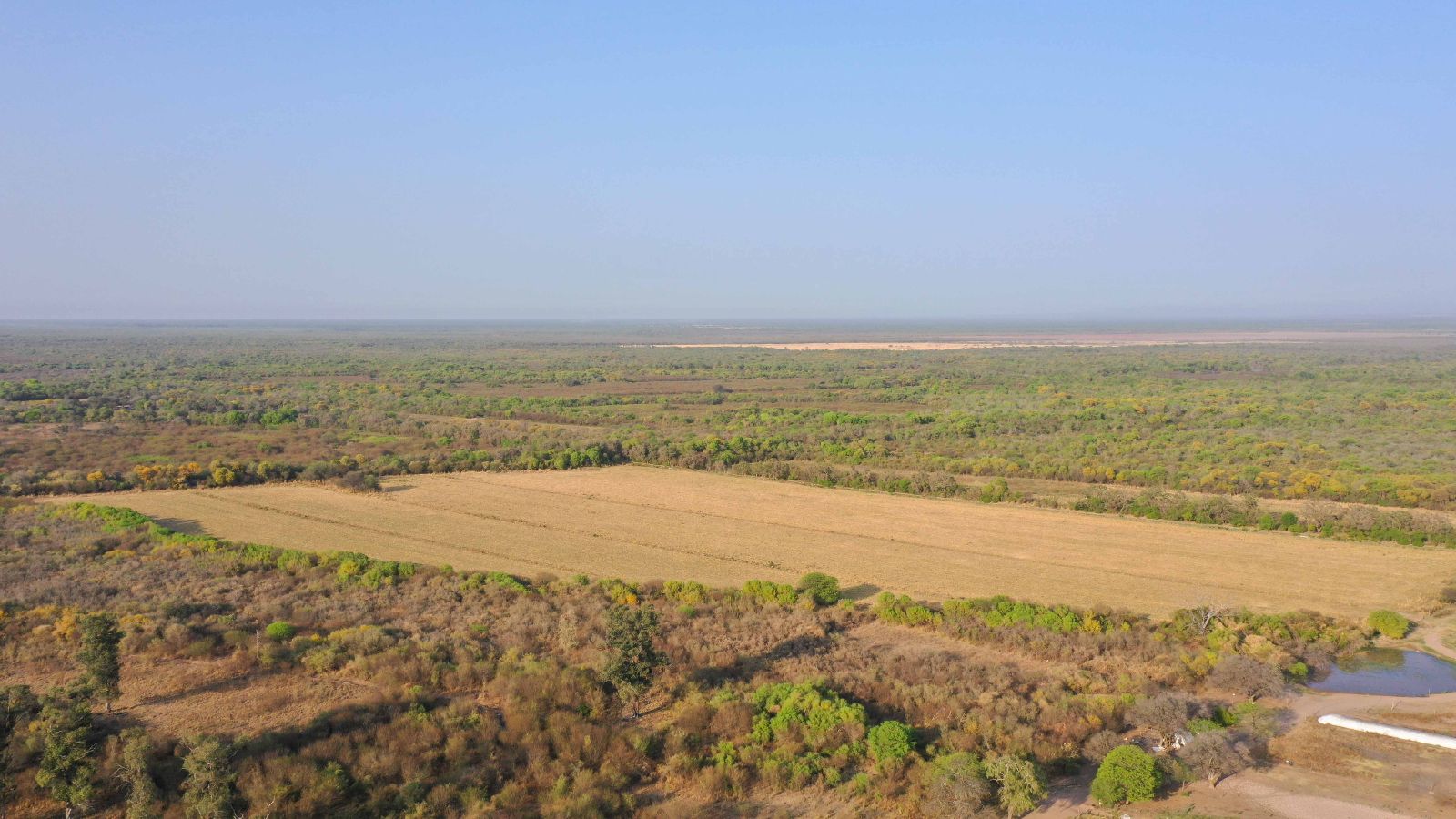 Macapillo - Image 1