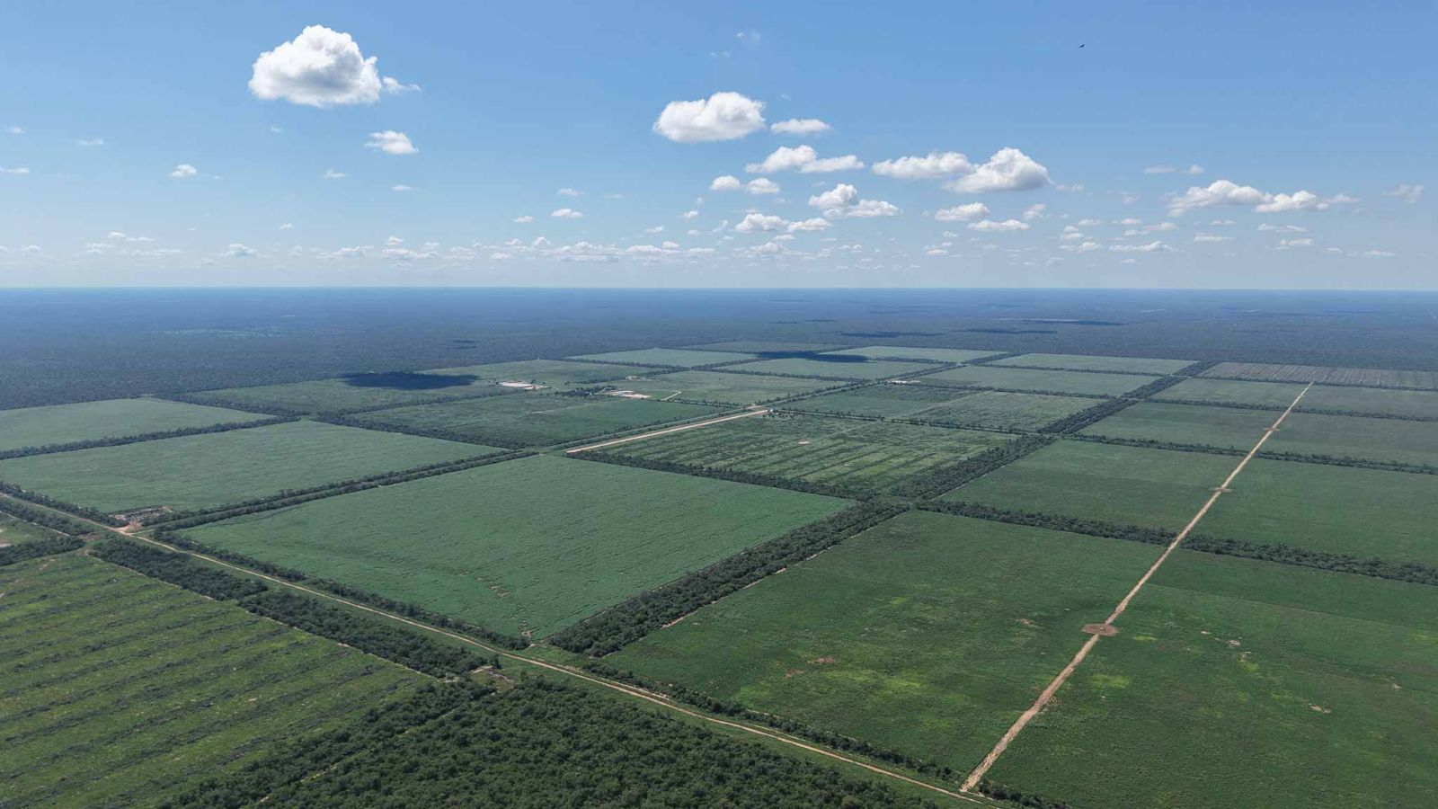 Montania - Image 1