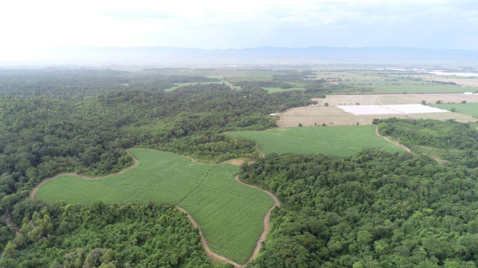 Peña Colorada - Image 1