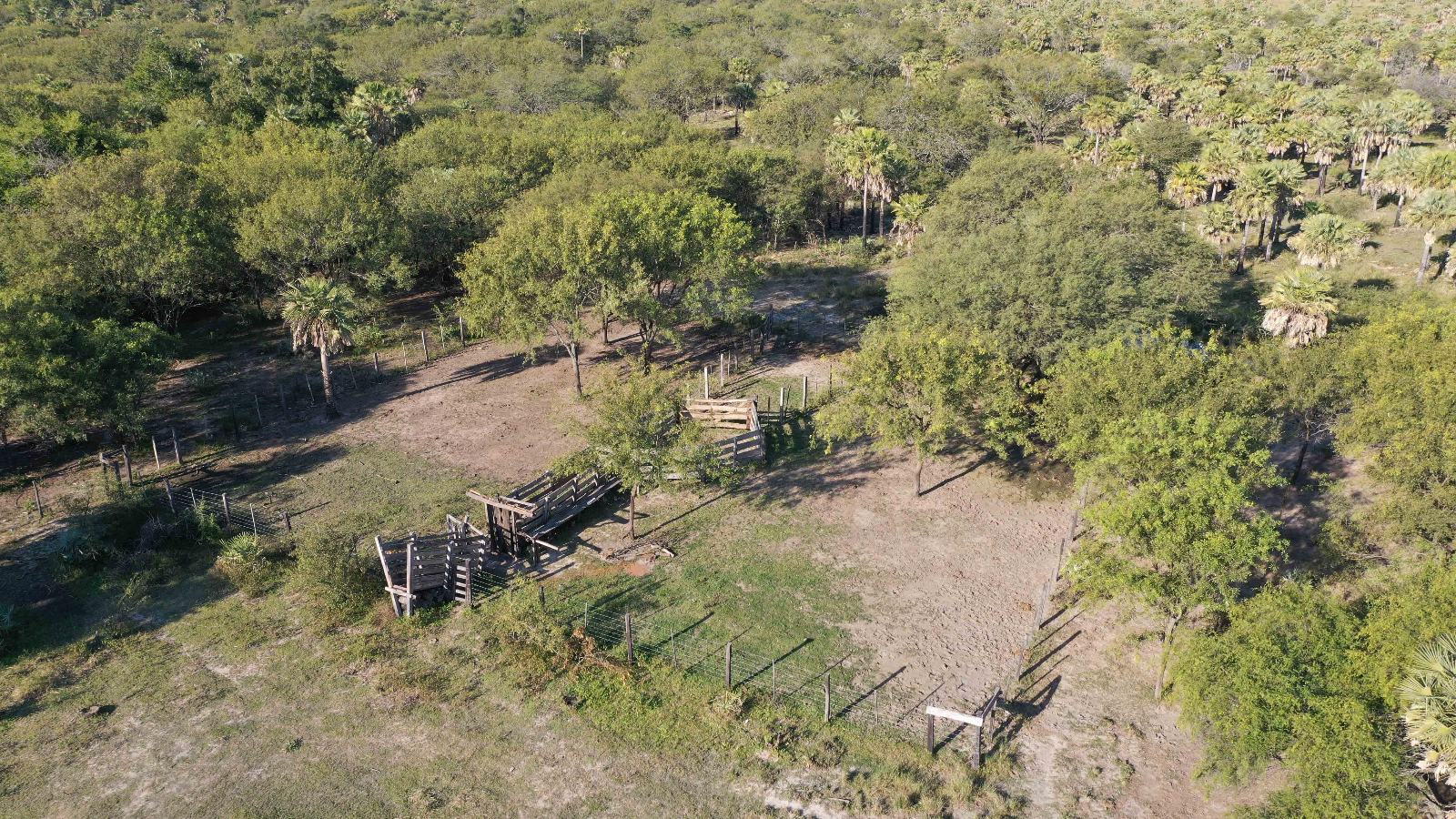 Resistencia - Image 3