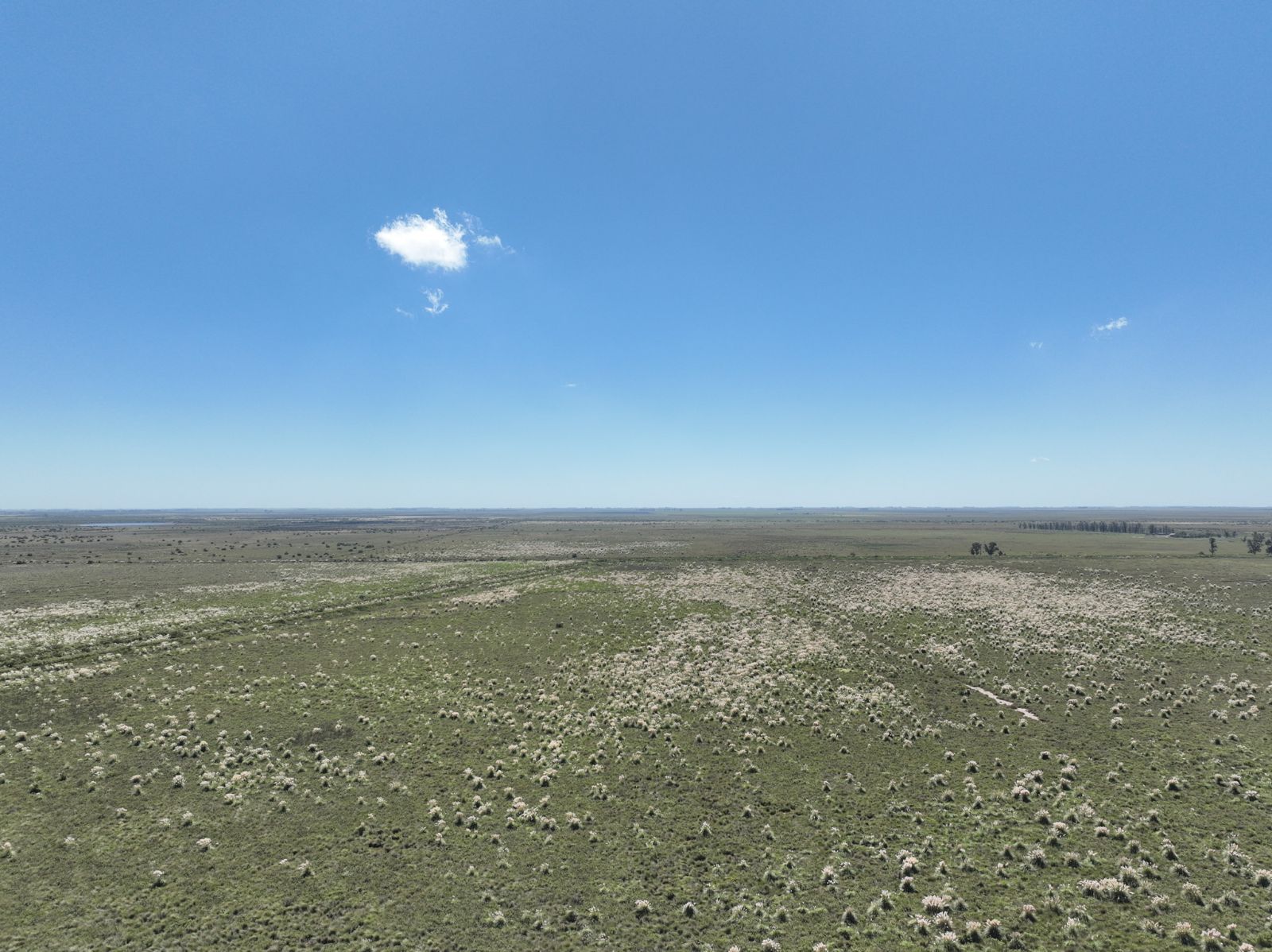 Río Bamba - Image 2