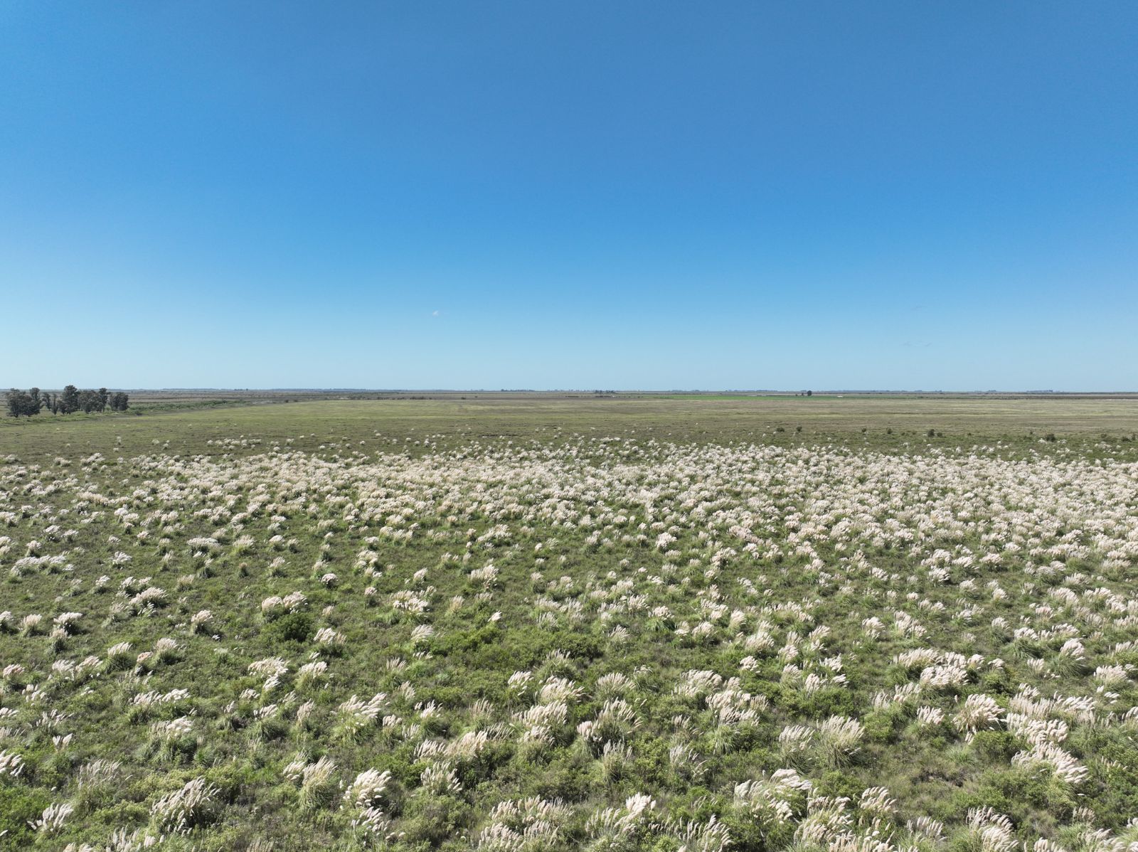 Río Bamba - Image 1