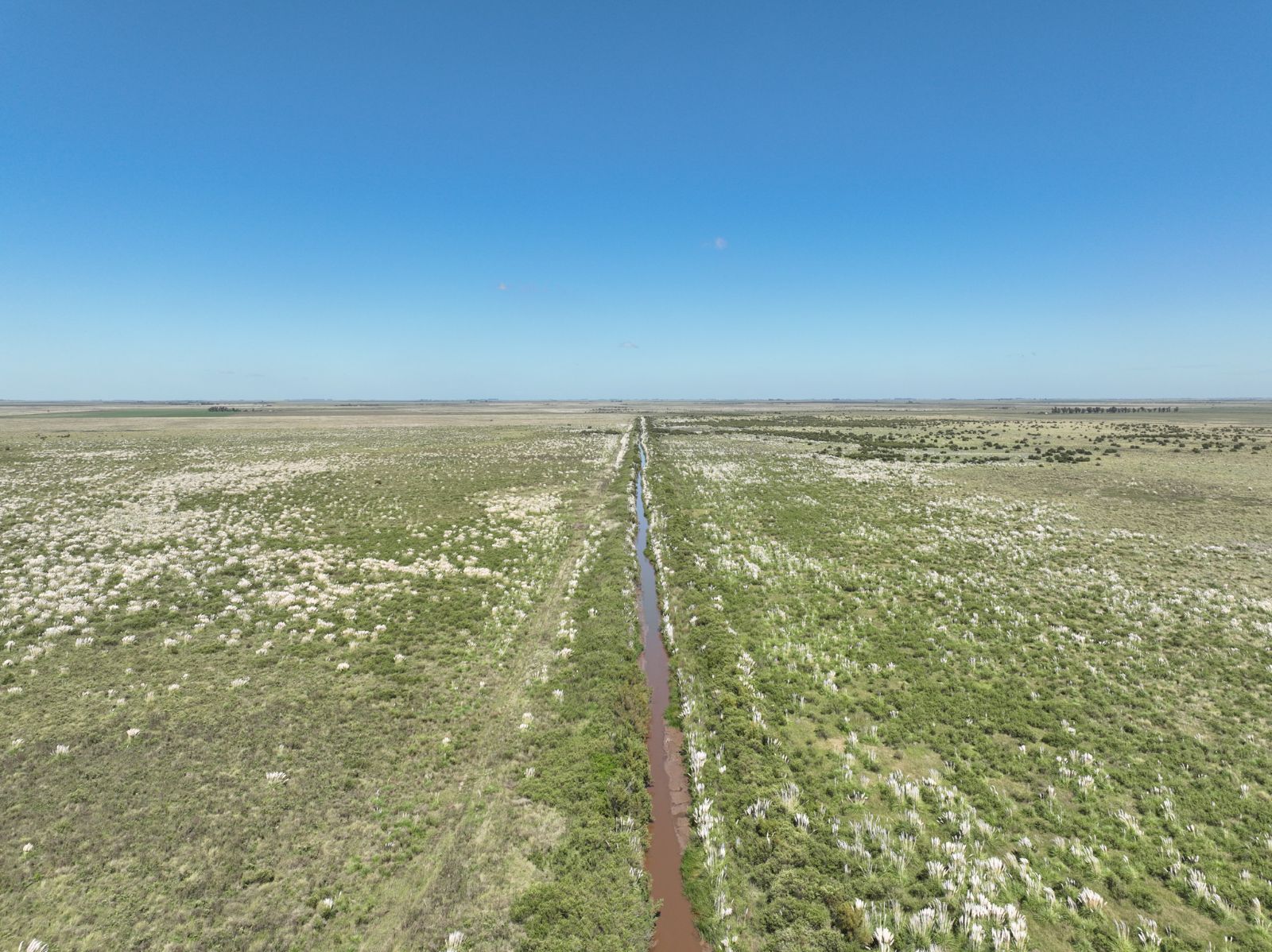 Río Bamba - Image 3
