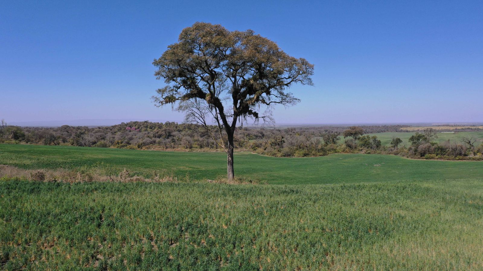 Río Piedras - Image 3