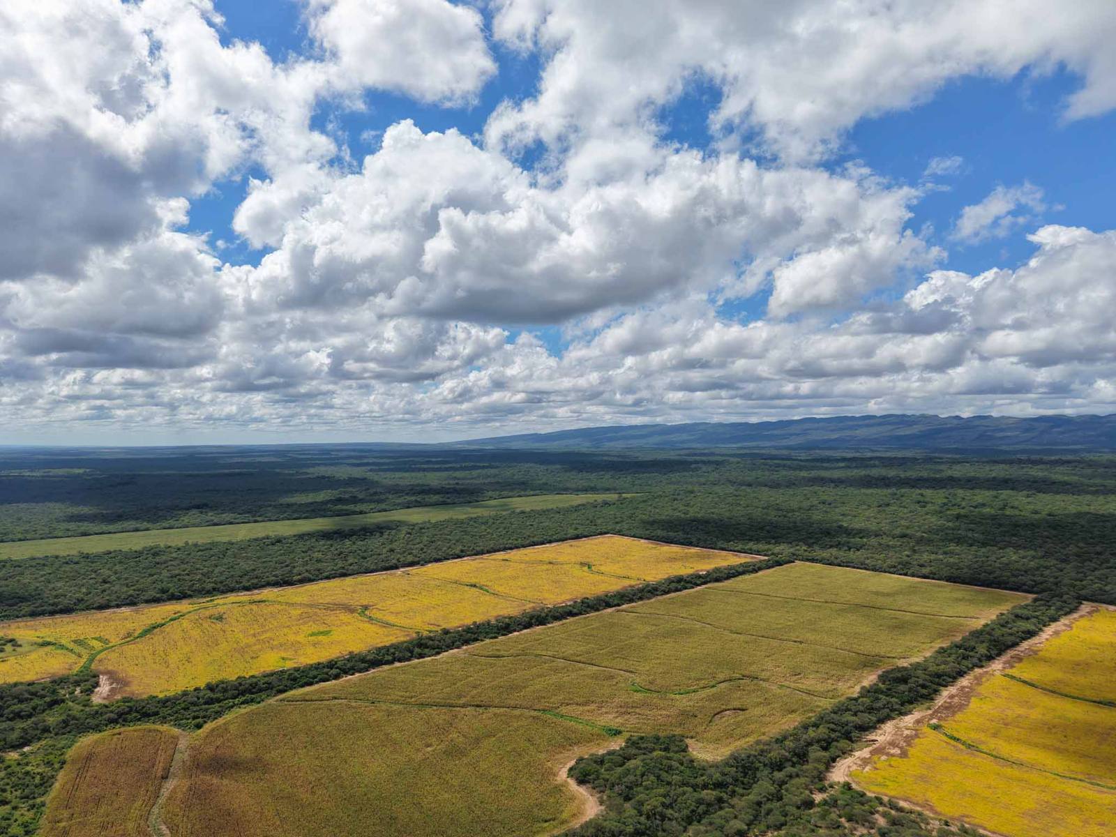 Rosario de la Frontera - Image 2