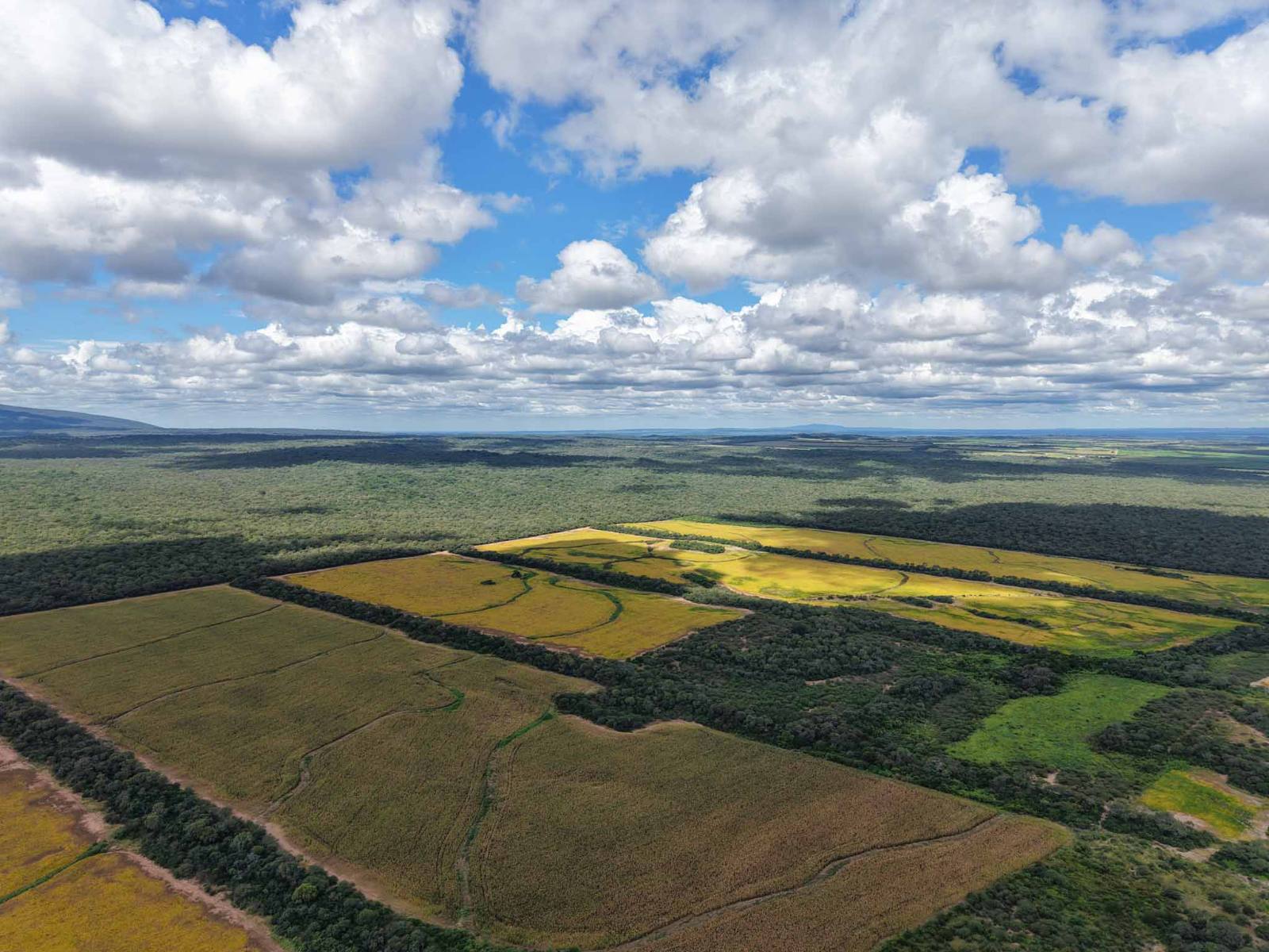 Rosario de la Frontera - Image 2