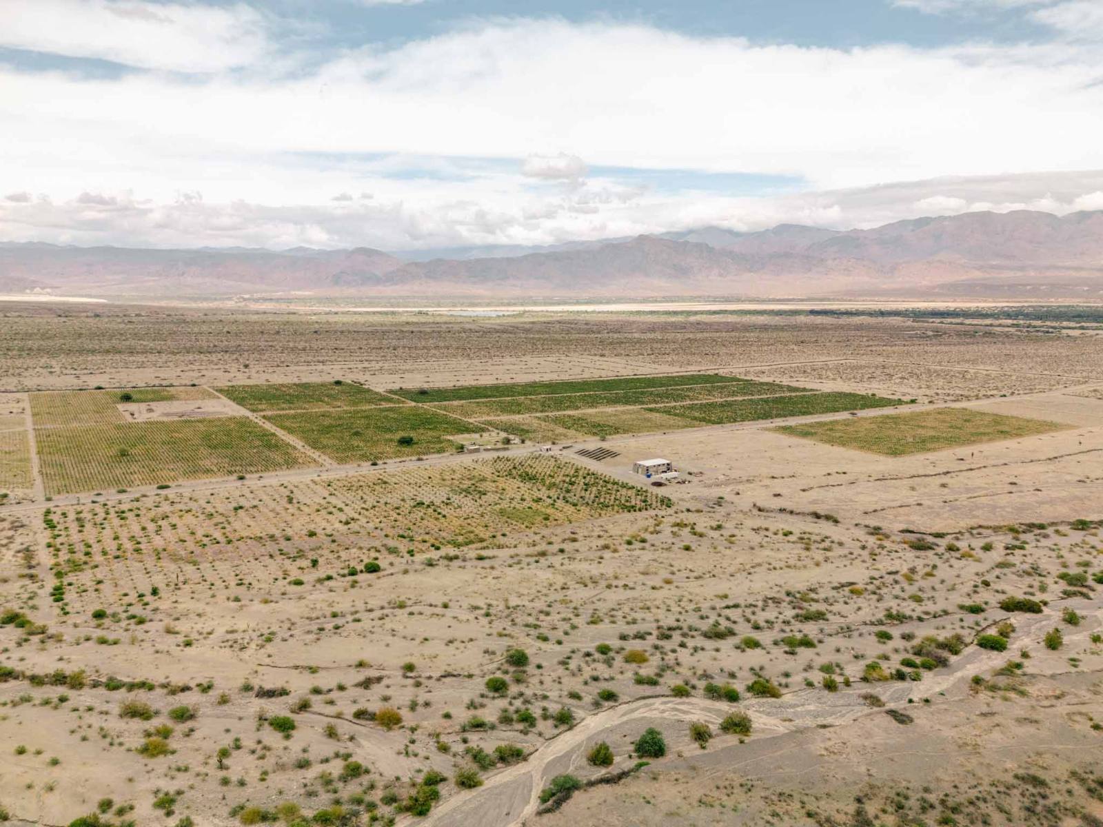 San Carlos - Image 1