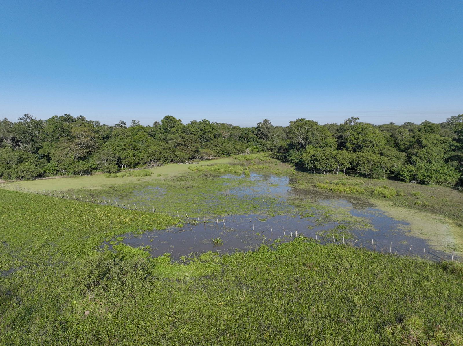San Martín - Image 3