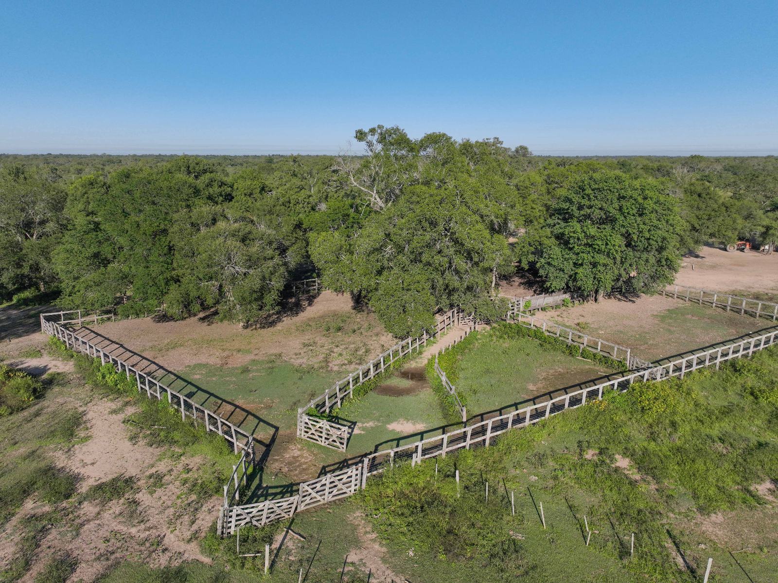 San Martín - Image 4