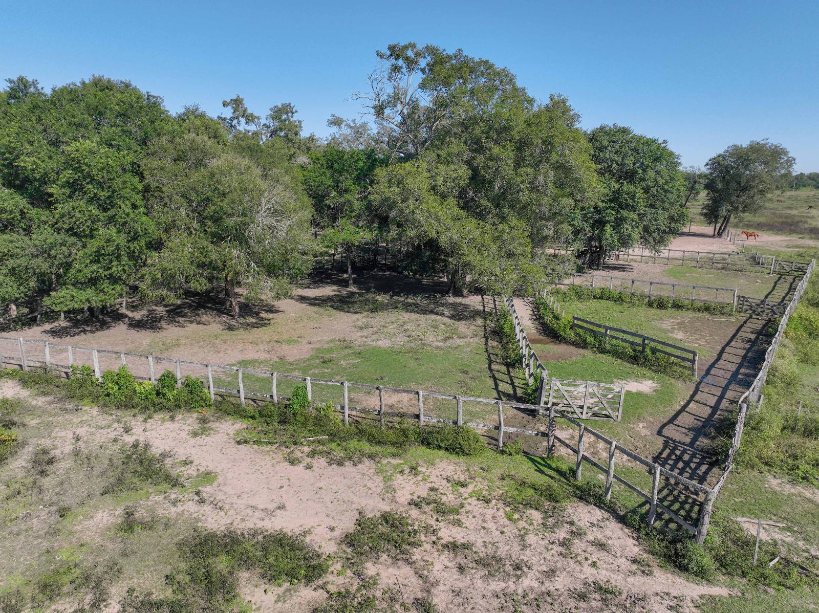 San Martín - Image 4