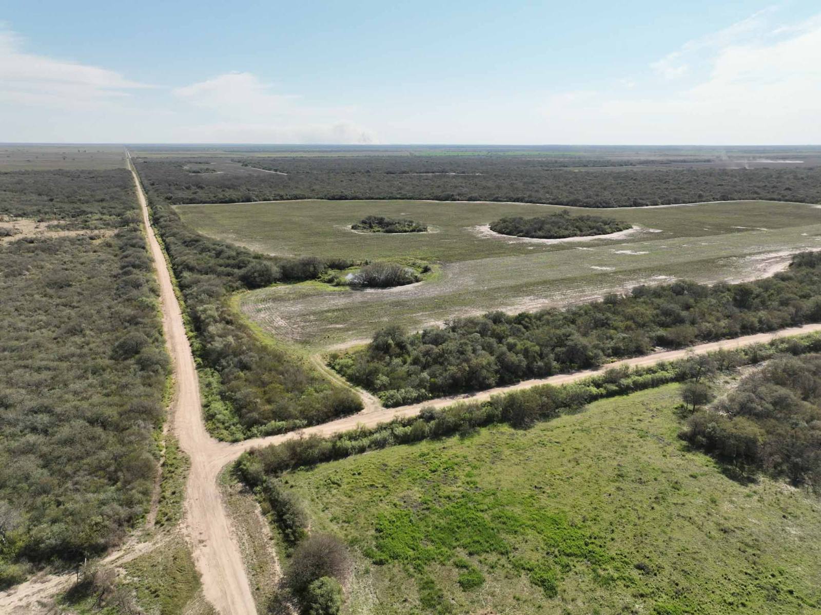 Santa Sylvina - Image 1