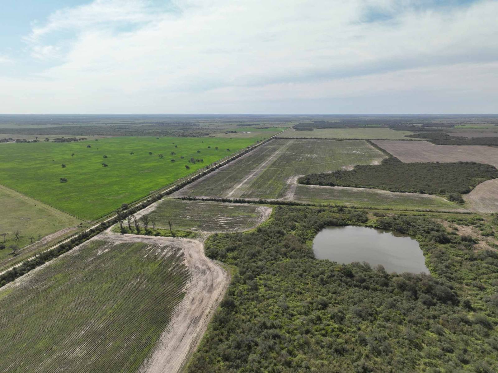 Santa Sylvina - Image 2