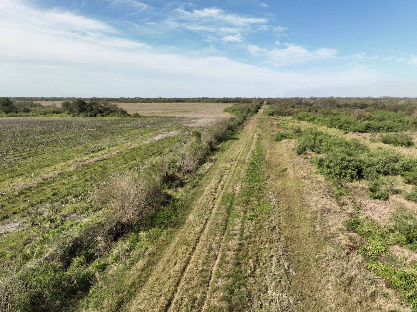 Santa Sylvina - Image 1