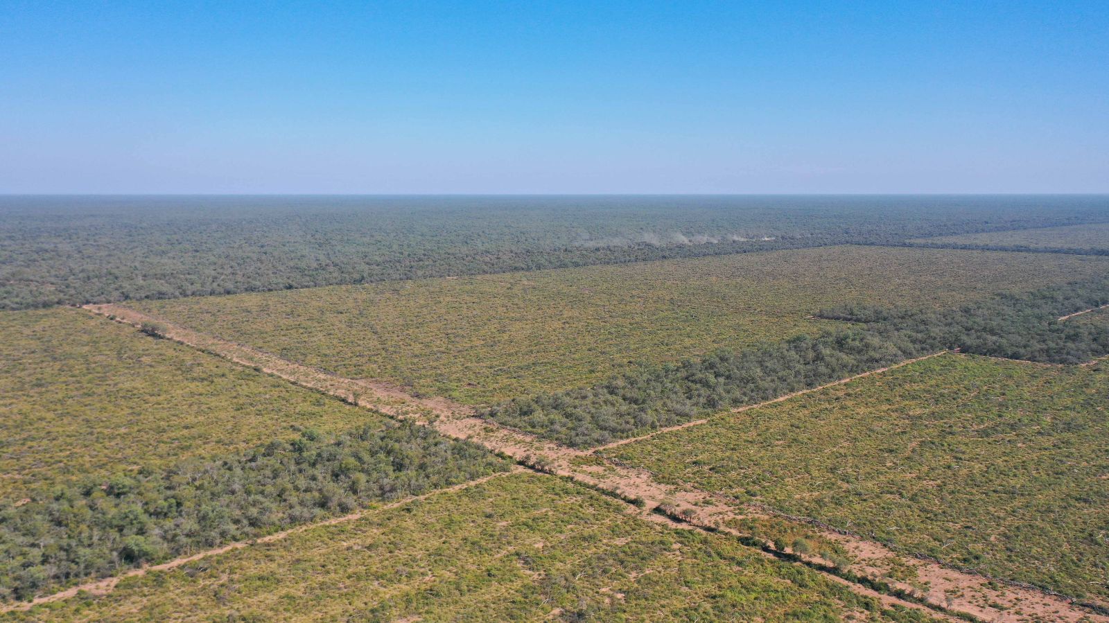 Vieja Pozo - Image 3