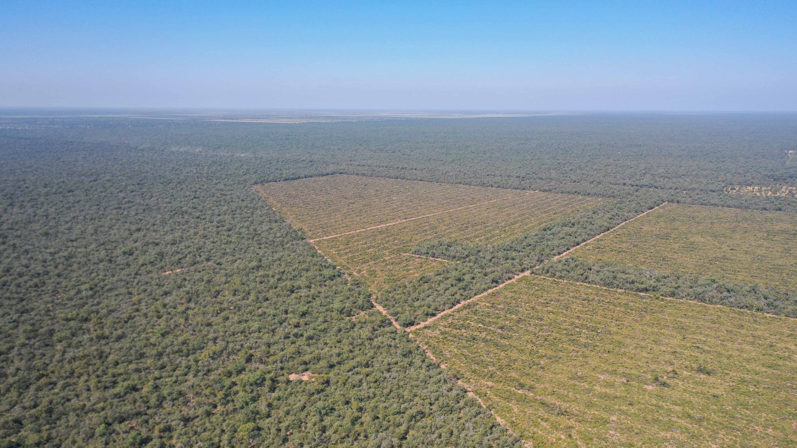 Vieja Pozo - Image 2