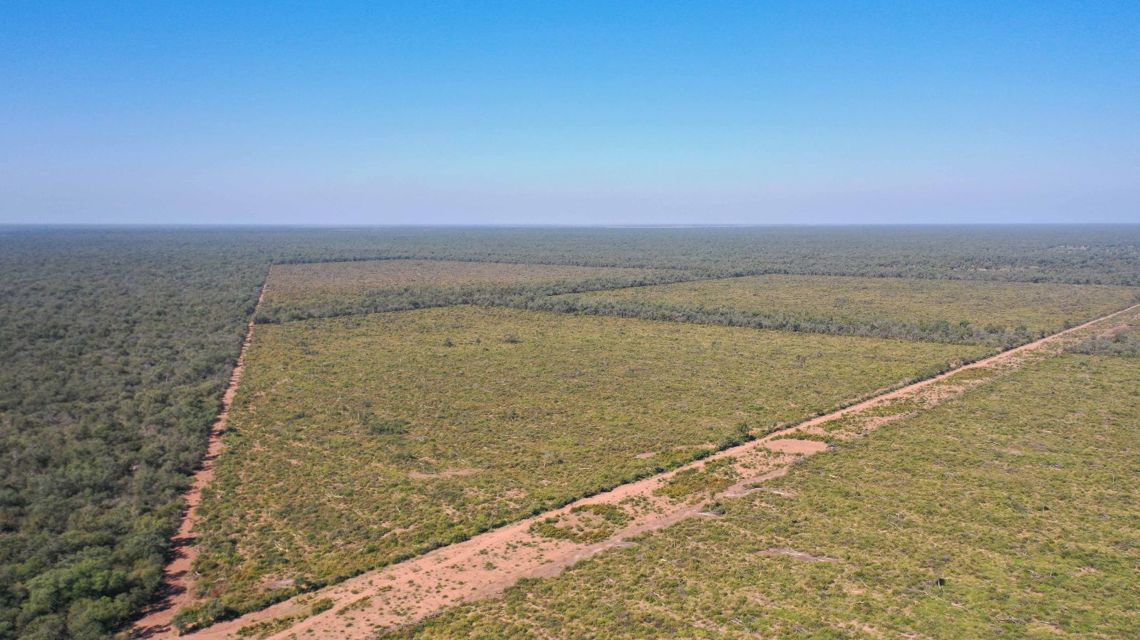 Vieja Pozo - Image 2