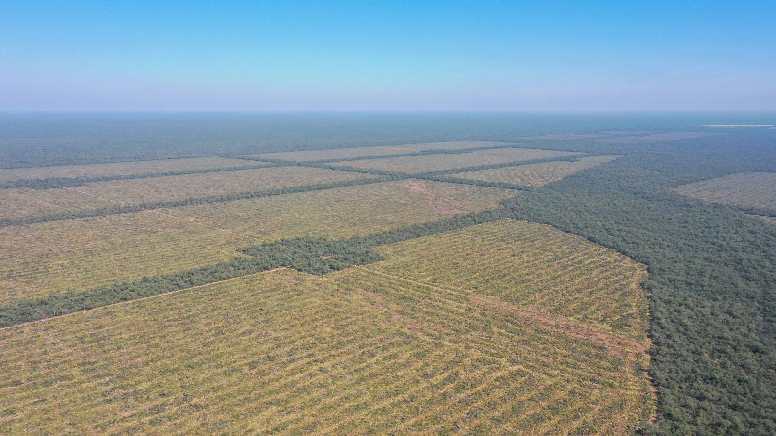 Vieja Pozo - Image 1