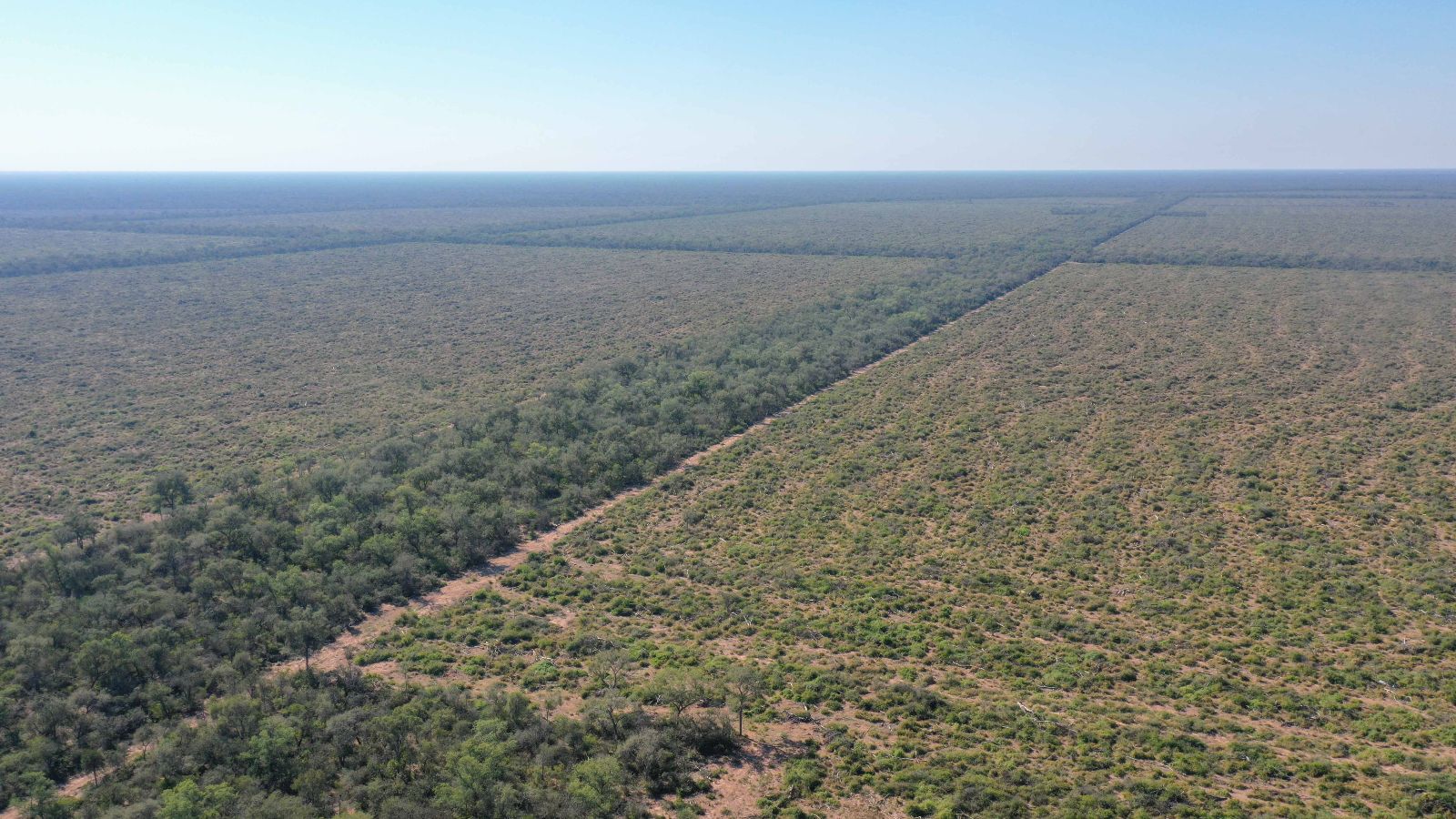 Vieja Pozo - Image 3